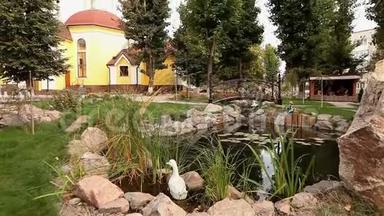 公园里的一个小池塘，装饰的池塘，池塘上的观赏桥，水中的睡莲，背景